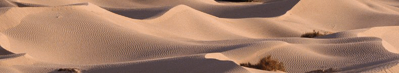 dune